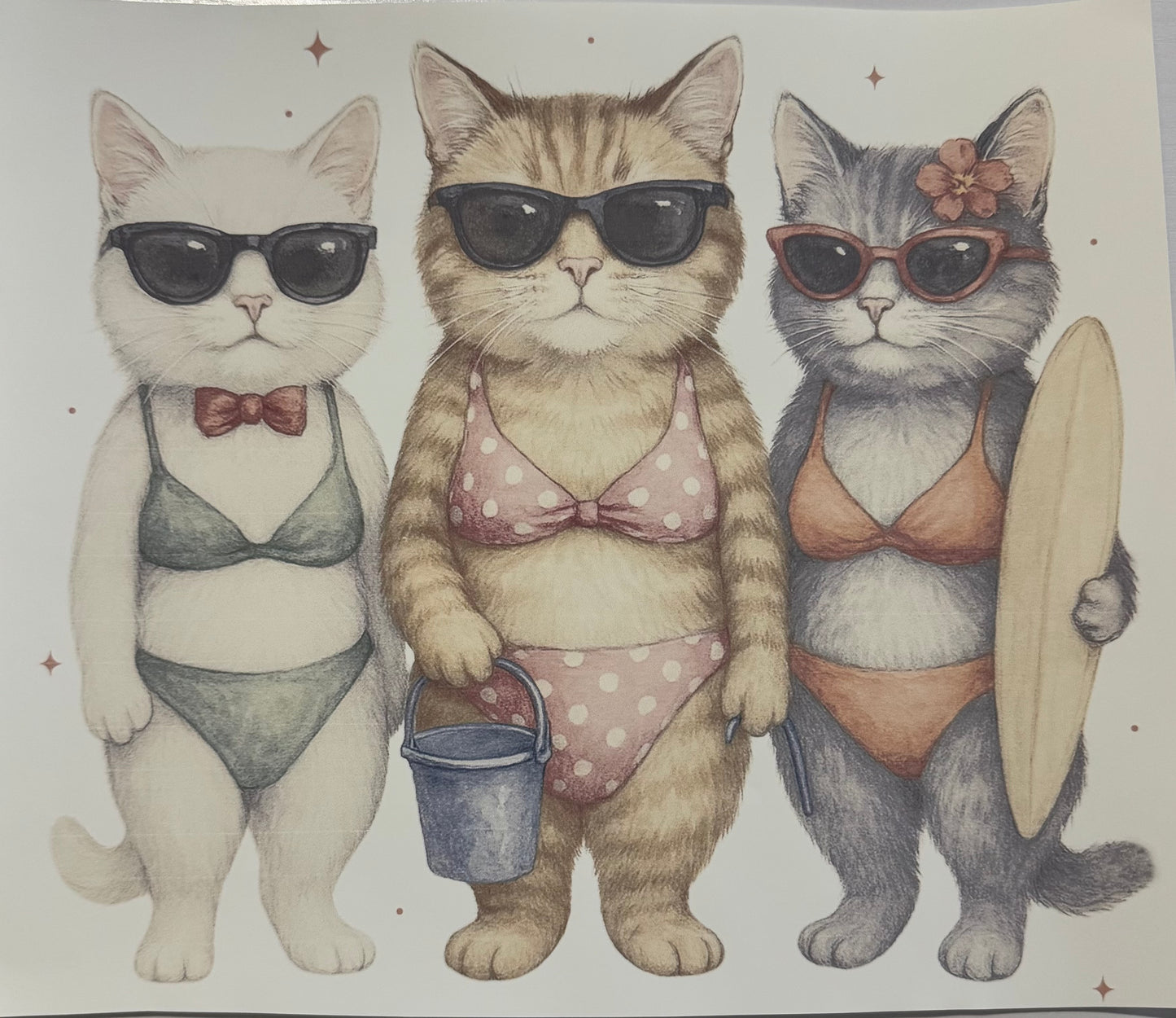"Beach Cats"
